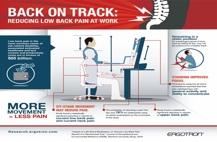 Stanford study tackles lower back pain –